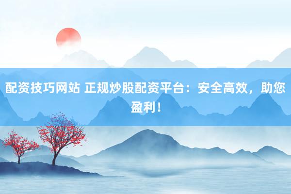 配资技巧网站 正规炒股配资平台：安全高效，助您盈利！