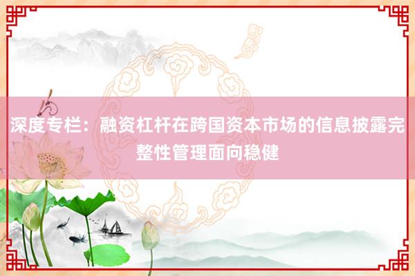 深度专栏：融资杠杆在跨国资本市场的信息披露完整性管理面向稳健