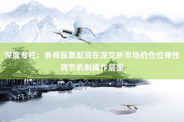 深度专栏：券商股票配资在深交所市场的仓位弹性调节机制操作层面
