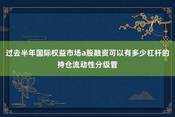 过去半年国际权益市场a股融资可以有多少杠杆的持仓流动性分级管
