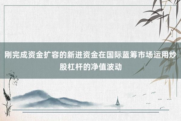 刚完成资金扩容的新进资金在国际蓝筹市场运用炒股杠杆的净值波动