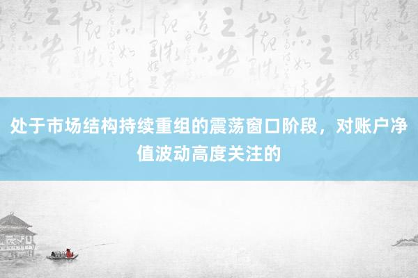 处于市场结构持续重组的震荡窗口阶段，对账户净值波动高度关注的