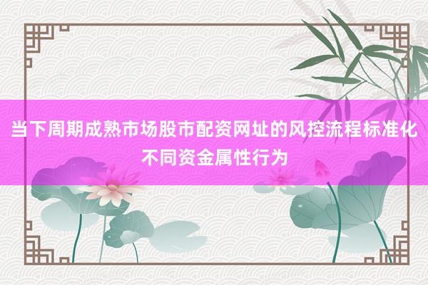当下周期成熟市场股市配资网址的风控流程标准化不同资金属性行为