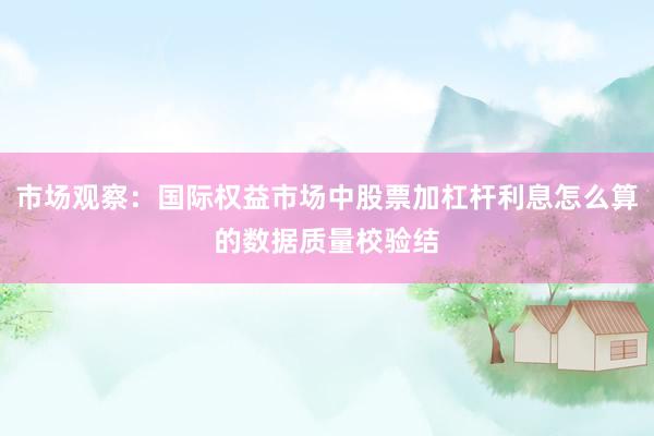 市场观察：国际权益市场中股票加杠杆利息怎么算的数据质量校验结