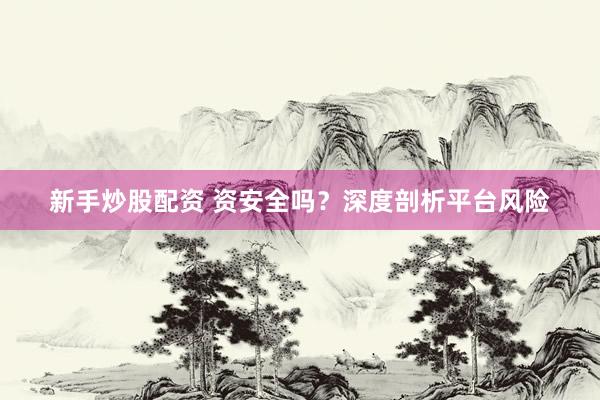 新手炒股配资 资安全吗？深度剖析平台风险