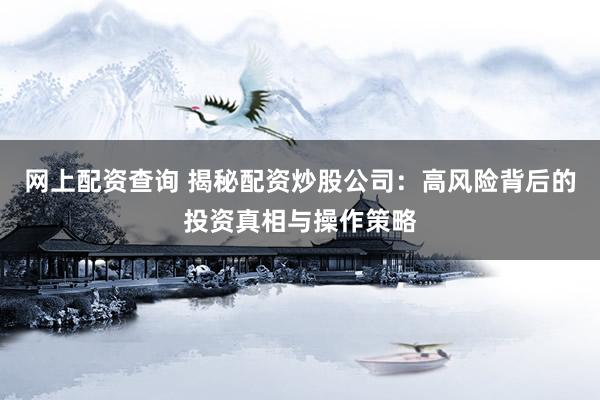 网上配资查询 揭秘配资炒股公司：高风险背后的投资真相与操作策略