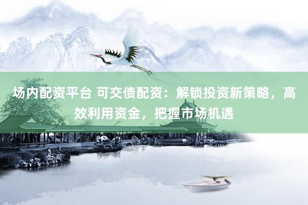场内配资平台 可交债配资：解锁投资新策略，高效利用资金，把握市场机遇