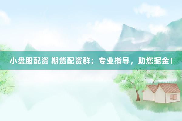 小盘股配资 期货配资群：专业指导，助您掘金！